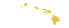Warrior Construction LLC